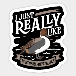 I just really like Northern Pintails Sticker